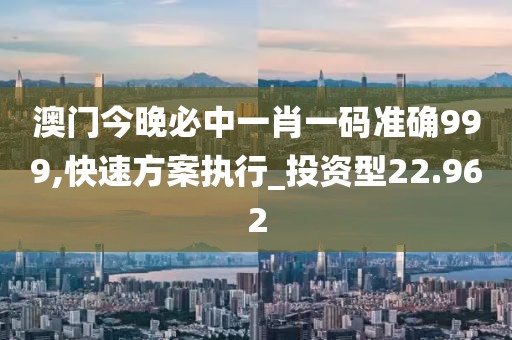 澳門今晚必中一肖一碼準確999,快速方案執(zhí)行_投資型22.962