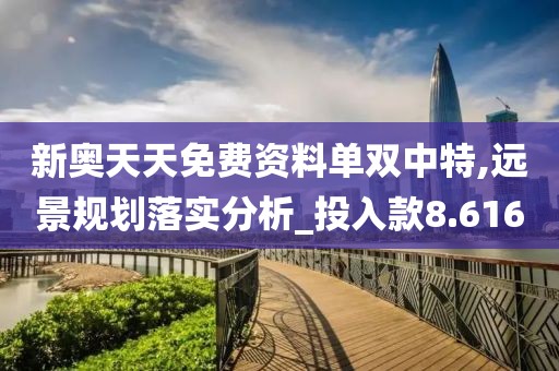 新奧天天免費(fèi)資料單雙中特,遠(yuǎn)景規(guī)劃落實(shí)分析_投入款8.616