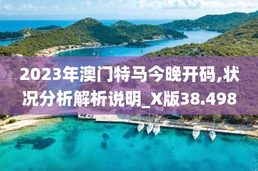 2023年澳門特馬今晚開碼,狀況分析解析說明_X版38.498