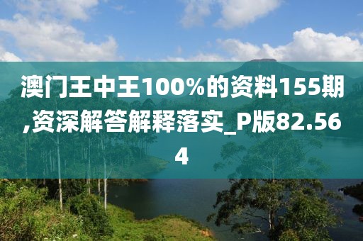 澳門王中王100%的資料155期,資深解答解釋落實_P版82.564