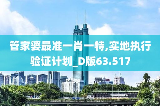 管家婆最準(zhǔn)一肖一特,實地執(zhí)行驗證計劃_D版63.517