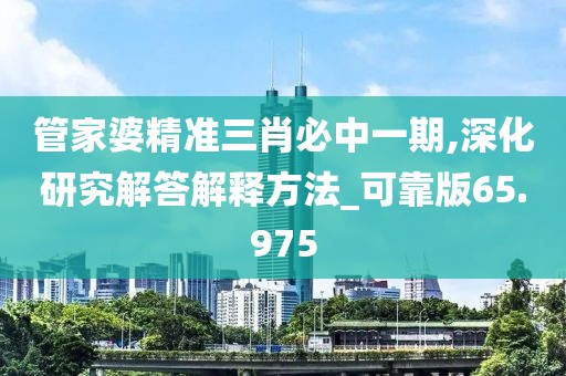 管家婆精準(zhǔn)三肖必中一期,深化研究解答解釋方法_可靠版65.975