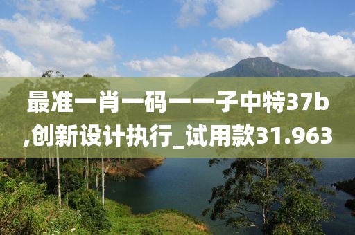 最準(zhǔn)一肖一碼一一子中特37b,創(chuàng)新設(shè)計(jì)執(zhí)行_試用款31.963