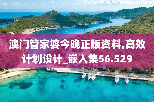 澳門管家婆今晚正版資料,高效計劃設計_嵌入集56.529