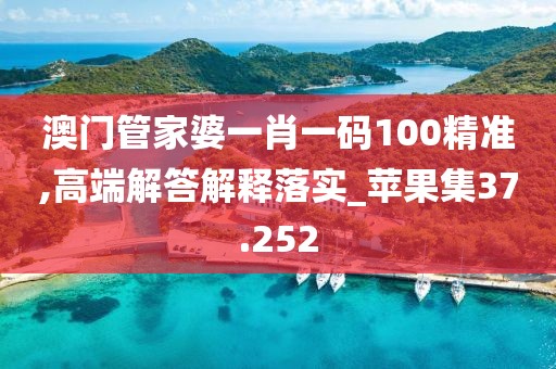 澳門管家婆一肖一碼100精準,高端解答解釋落實_蘋果集37.252