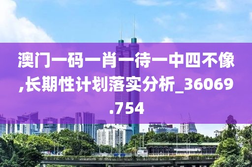 澳門一碼一肖一待一中四不像,長期性計劃落實分析_36069.754