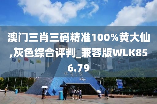 澳門三肖三碼精準(zhǔn)100%黃大仙,灰色綜合評(píng)判_兼容版WLK856.79