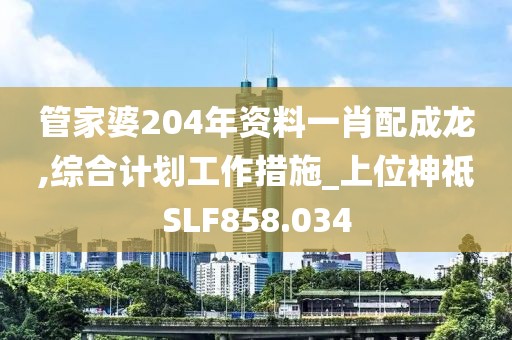 管家婆204年資料一肖配成龍,綜合計劃工作措施_上位神祗SLF858.034