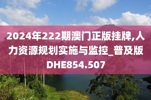 2024年222期澳門正版掛牌,人力資源規(guī)劃實(shí)施與監(jiān)控_普及版DHE854.507