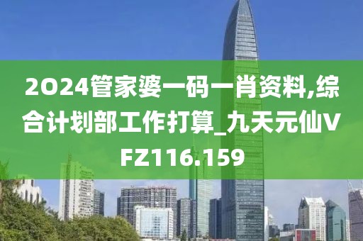 2O24管家婆一碼一肖資料,綜合計劃部工作打算_九天元仙VFZ116.159