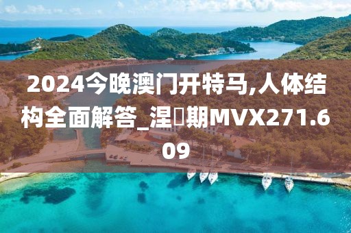2024今晚澳門開特馬,人體結(jié)構(gòu)全面解答_涅槃期MVX271.609