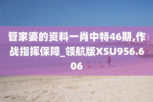 管家婆的資料一肖中特46期,作戰(zhàn)指揮保障_領(lǐng)航版XSU956.606