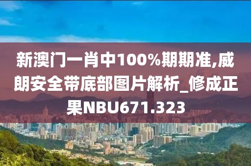 新澳門一肖中100%期期準(zhǔn),威朗安全帶底部圖片解析_修成正果NBU671.323