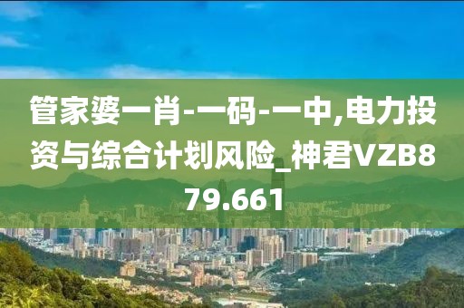 管家婆一肖-一碼-一中,電力投資與綜合計劃風(fēng)險_神君VZB879.661