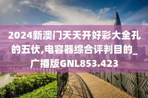 2024新澳門(mén)天天開(kāi)好彩大全孔的五伏,電容器綜合評(píng)判目的_廣播版GNL853.423
