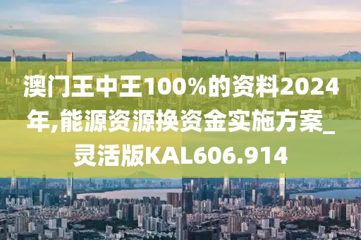 澳門王中王100%的資料2024年,能源資源換資金實施方案_靈活版KAL606.914