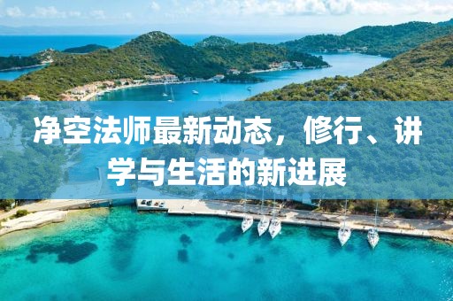 凈空法師最新動態(tài)，修行、講學(xué)與生活的新進展