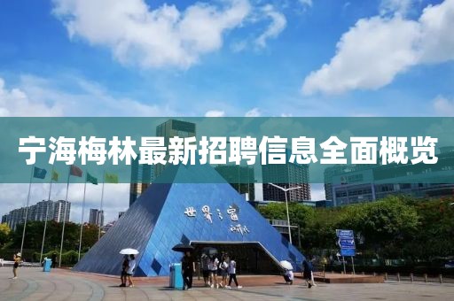 寧海梅林最新招聘信息全面概覽
