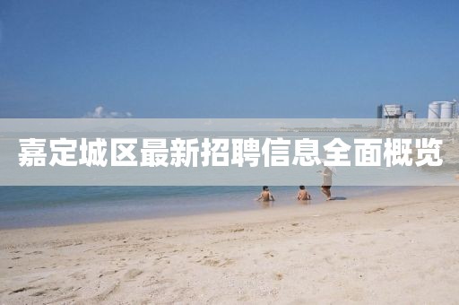 嘉定城區(qū)最新招聘信息全面概覽