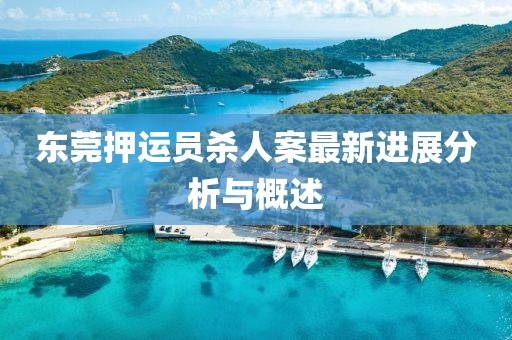 東莞押運員殺人案最新進(jìn)展分析與概述