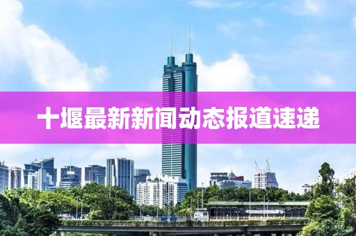 十堰最新新聞動態(tài)報道速遞