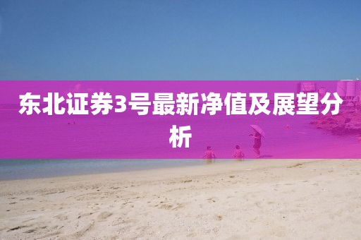 東北證券3號最新凈值及展望分析
