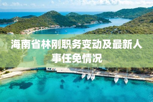 海南省林剛職務(wù)變動及最新人事任免情況