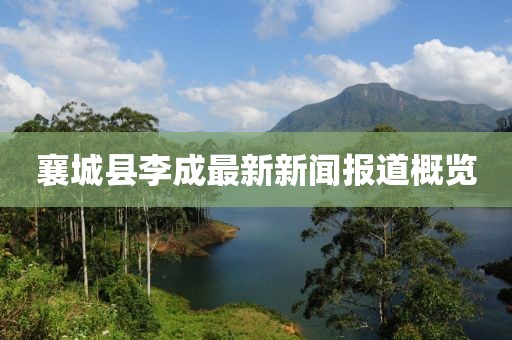 襄城縣李成最新新聞報道概覽