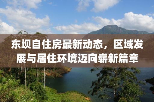 東壩自住房最新動(dòng)態(tài)，區(qū)域發(fā)展與居住環(huán)境邁向嶄新篇章