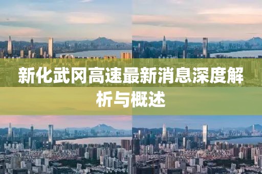 新化武岡高速最新消息深度解析與概述