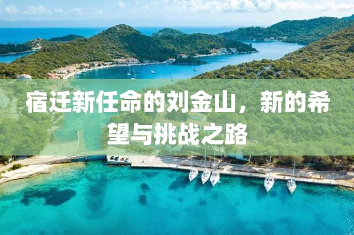宿遷新任命的劉金山，新的希望與挑戰(zhàn)之路
