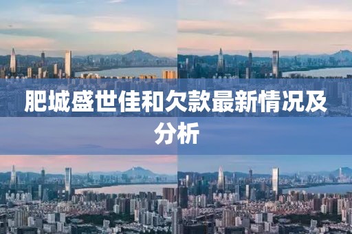 肥城盛世佳和欠款最新情況及分析