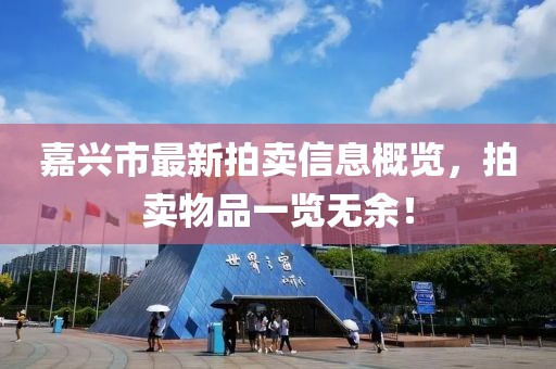 嘉興市最新拍賣信息概覽，拍賣物品一覽無余！