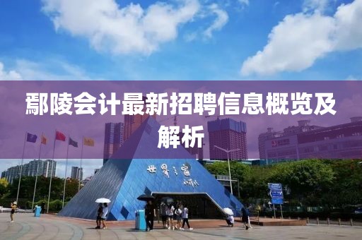 鄢陵會計最新招聘信息概覽及解析