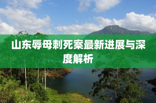 山東辱母刺死案最新進展與深度解析