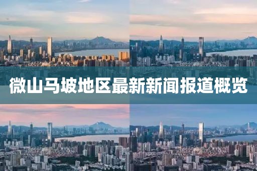 微山馬坡地區(qū)最新新聞報道概覽
