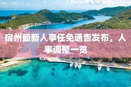 宿州最新人事任免通告發(fā)布，人事調(diào)整一覽