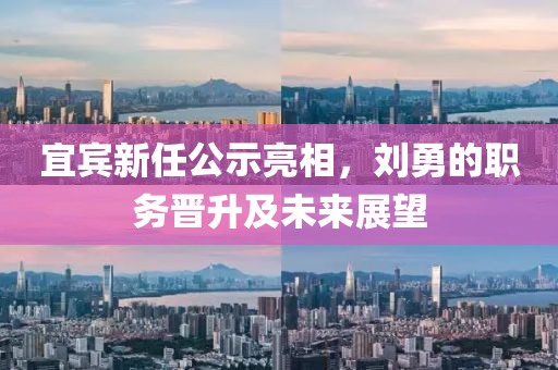 宜賓新任公示亮相，劉勇的職務(wù)晉升及未來展望
