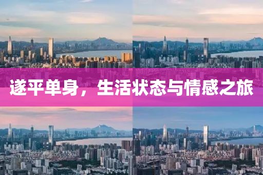 遂平單身，生活狀態(tài)與情感之旅