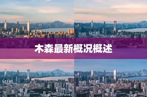 木森最新概況概述