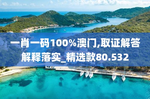 一肖一碼100%澳門(mén),取證解答解釋落實(shí)_精選款80.532
