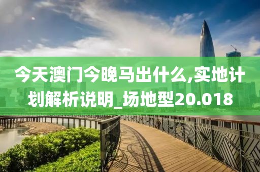 今天澳門今晚馬出什么,實地計劃解析說明_場地型20.018