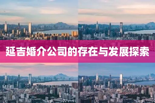 延吉婚介公司的存在與發(fā)展探索