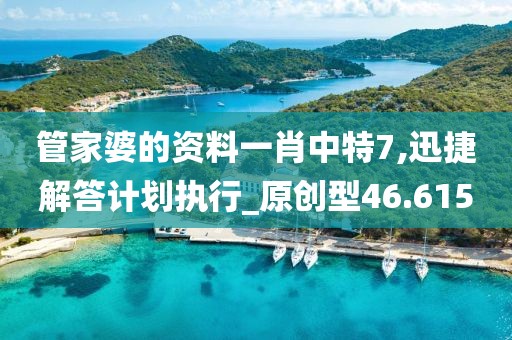 管家婆的資料一肖中特7,迅捷解答計劃執(zhí)行_原創(chuàng)型46.615