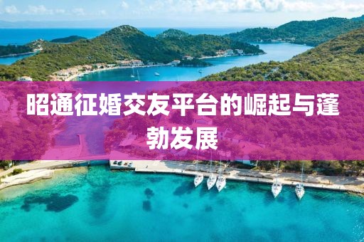 昭通征婚交友平臺(tái)的崛起與蓬勃發(fā)展