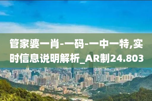 管家婆一肖-一碼-一中一特,實時信息說明解析_AR制24.803
