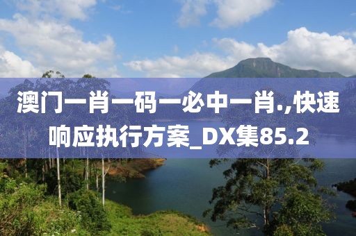 澳門一肖一碼一必中一肖.,快速響應(yīng)執(zhí)行方案_DX集85.2