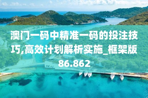 澳門(mén)一碼中精準(zhǔn)一碼的投注技巧,高效計(jì)劃解析實(shí)施_框架版86.862