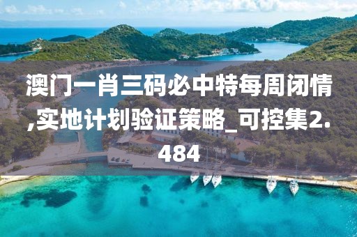 澳門一肖三碼必中特每周閉情,實地計劃驗證策略_可控集2.484