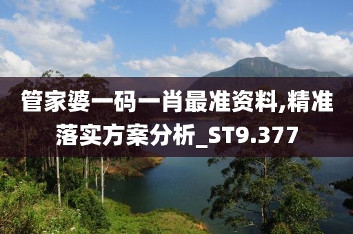 管家婆一碼一肖最準(zhǔn)資料,精準(zhǔn)落實(shí)方案分析_ST9.377